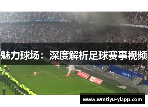 魅力球场：深度解析足球赛事视频